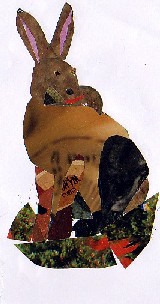 Lepus castroviejoi-Lebre do piornal-Broom Hare