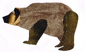 Ursus arctos-Oso Pardo-Brown Bear