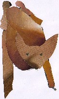 MYOTIS BECHSTEINI-morcego de bechsteini-Bechstein's bat